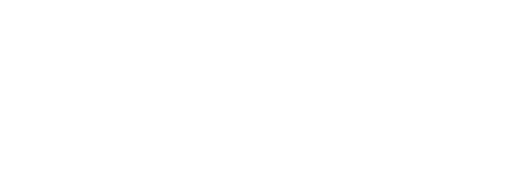 Royal Society for the Blind logo