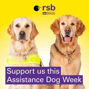 Two yellow dogs looking at camera. Text reads Support us this Assistance Dog Week
